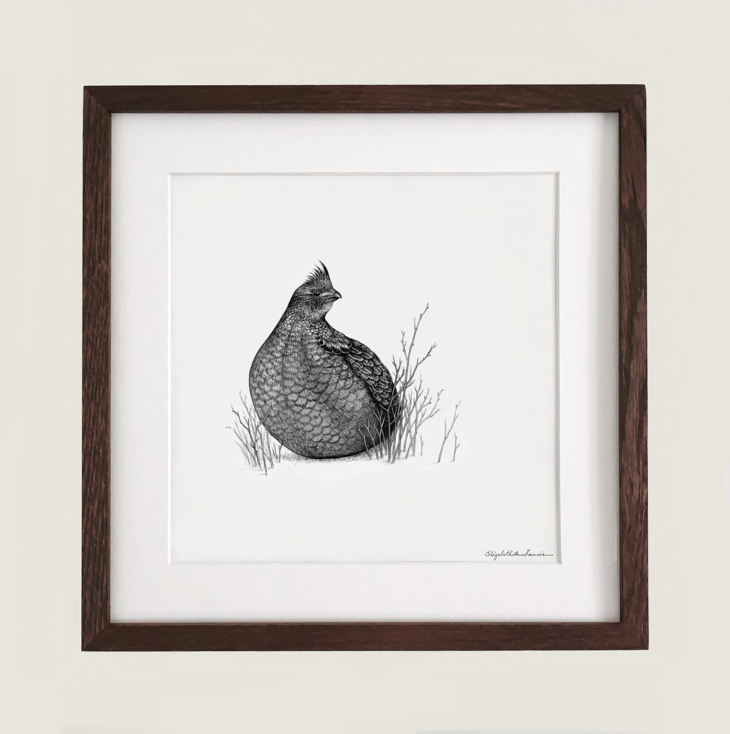 Ruffed Grouse | Framed Original Drawing
