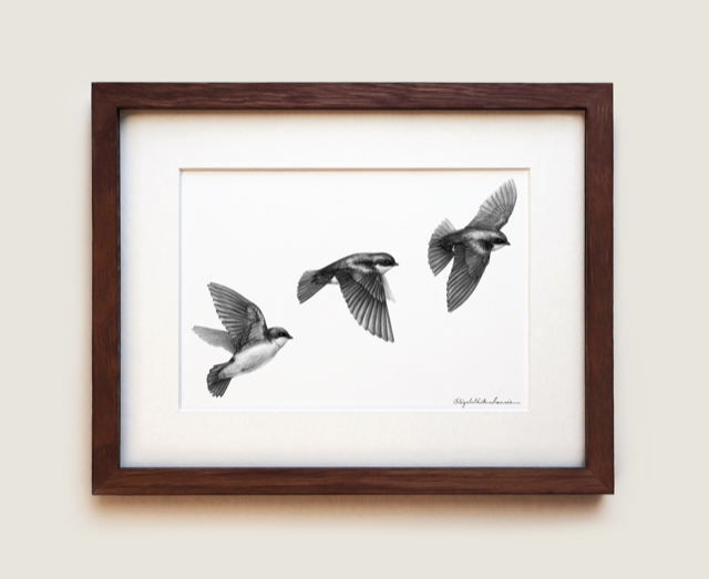 Tree Swallows | Fine Art Print