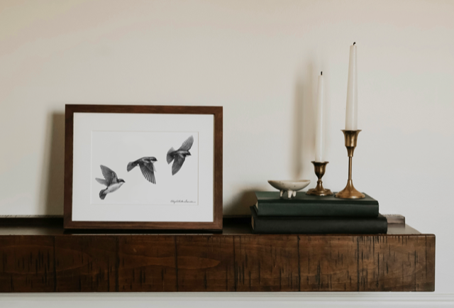 Tree Swallows | Fine Art Print