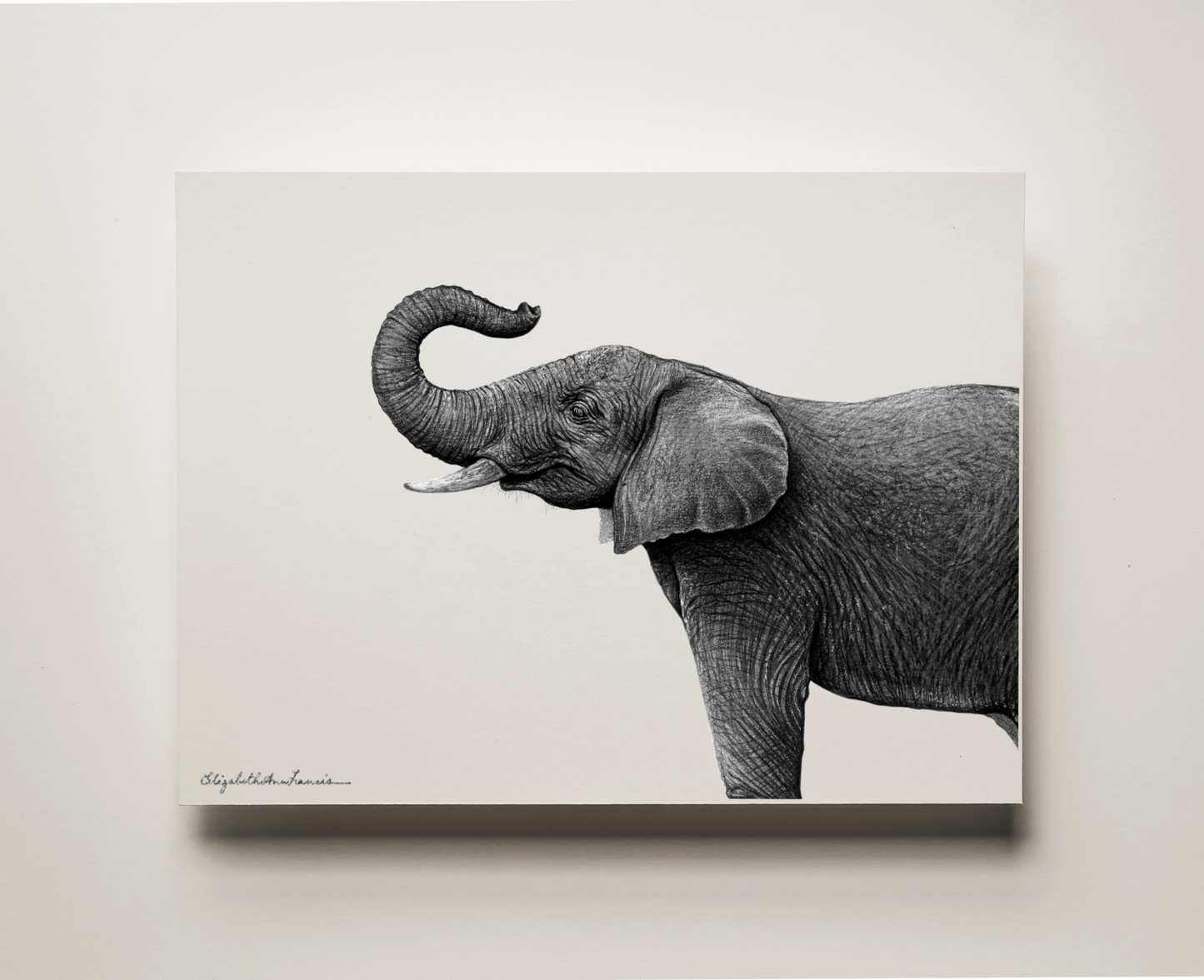 Happy Elephant | Fine Art Print