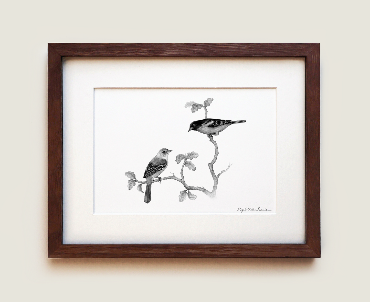 Baltimore Orioles | Fine Art Print
