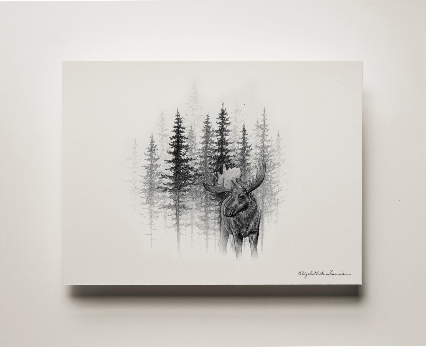 Through the Mist | Fine Art Print