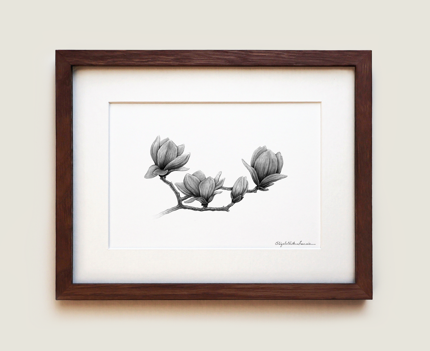 Magnolia Flowers | Fine Art Print