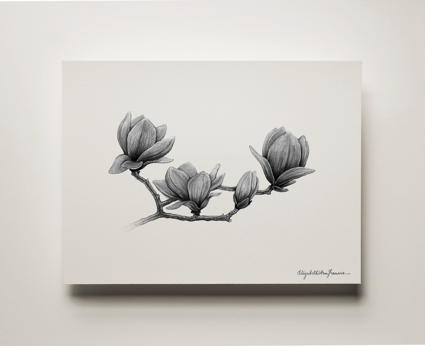 Magnolia Flowers | Fine Art Print
