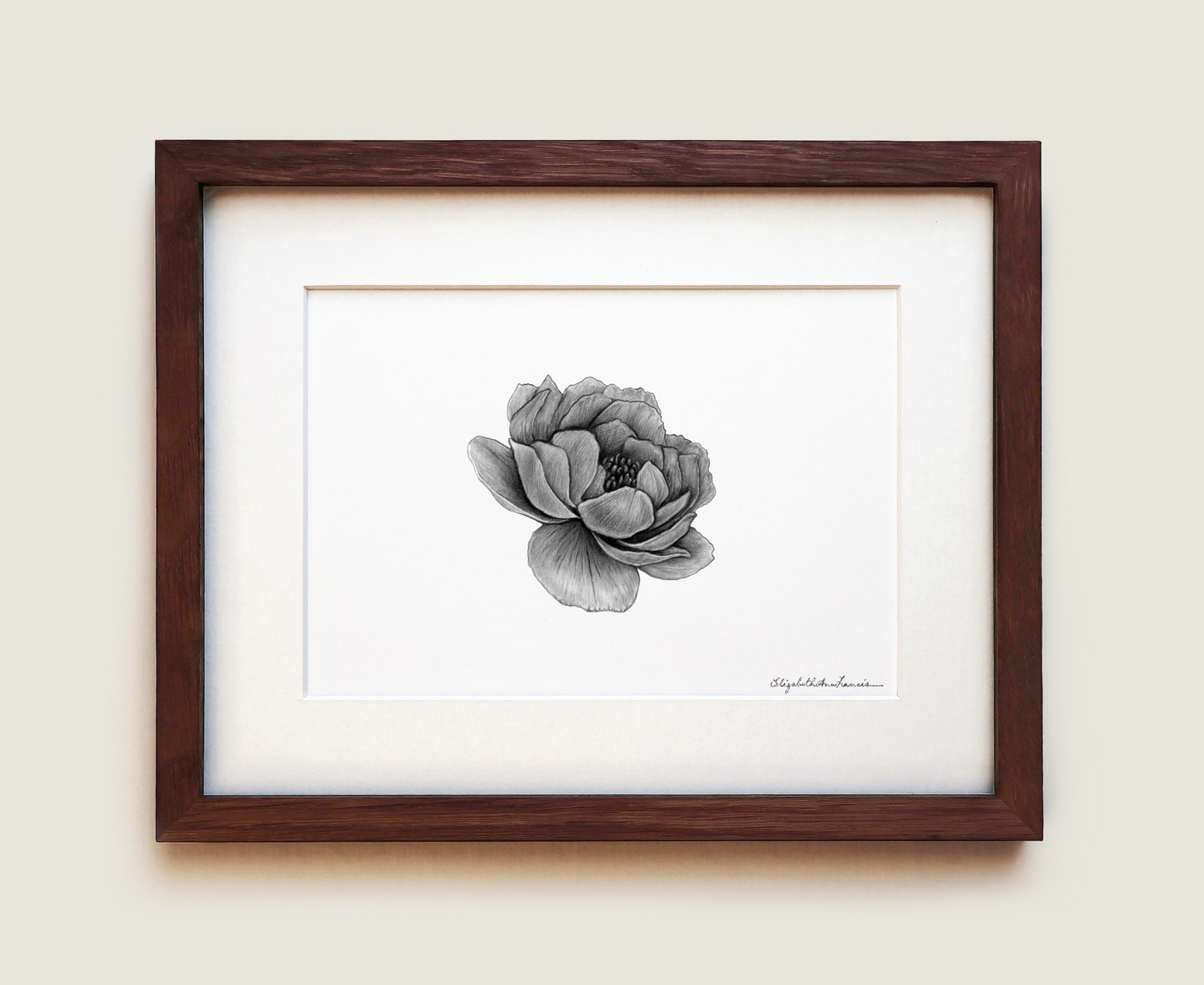 Peony | Fine Art Print
