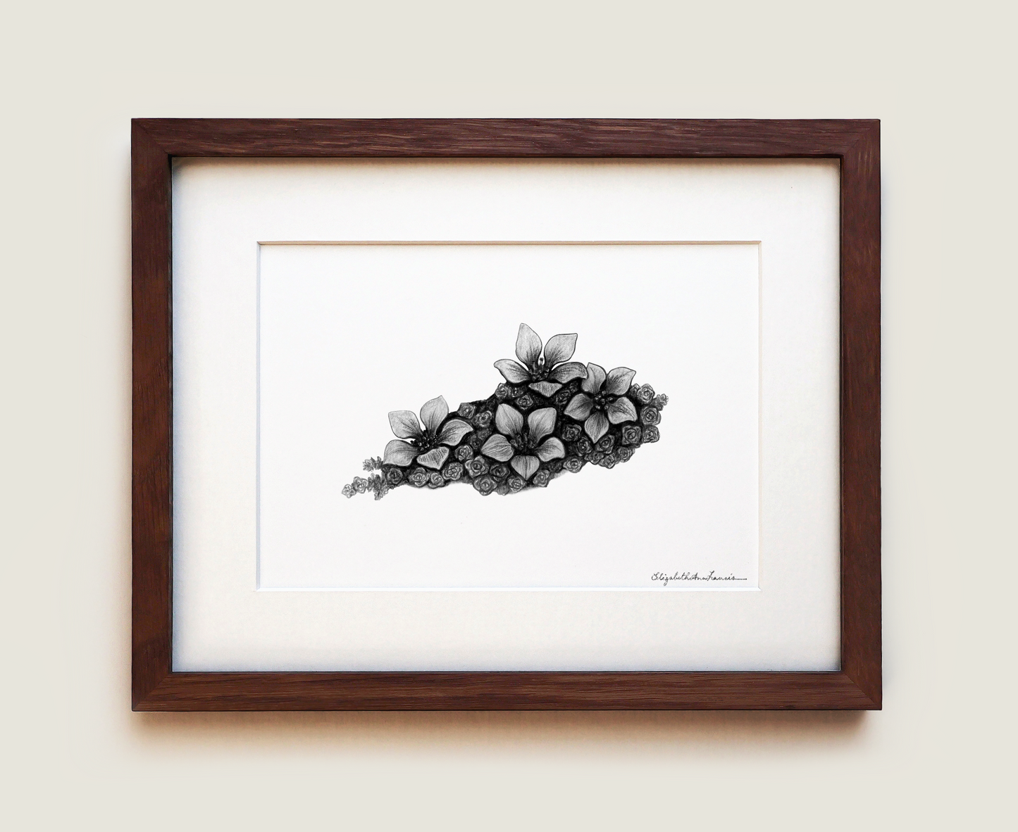 Purple Mountain Saxifrage | Fine Art Print