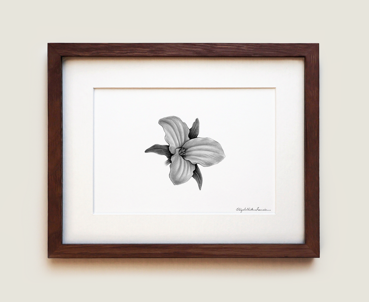 Trillium | Fine Art Print