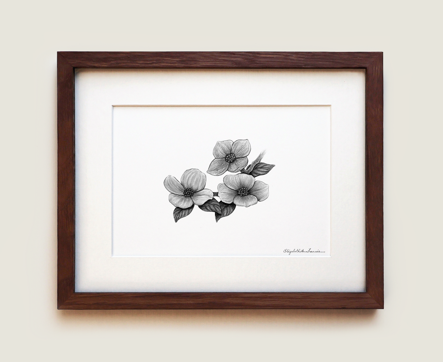 Pacific Dogwood Flowers | Fine Art Print