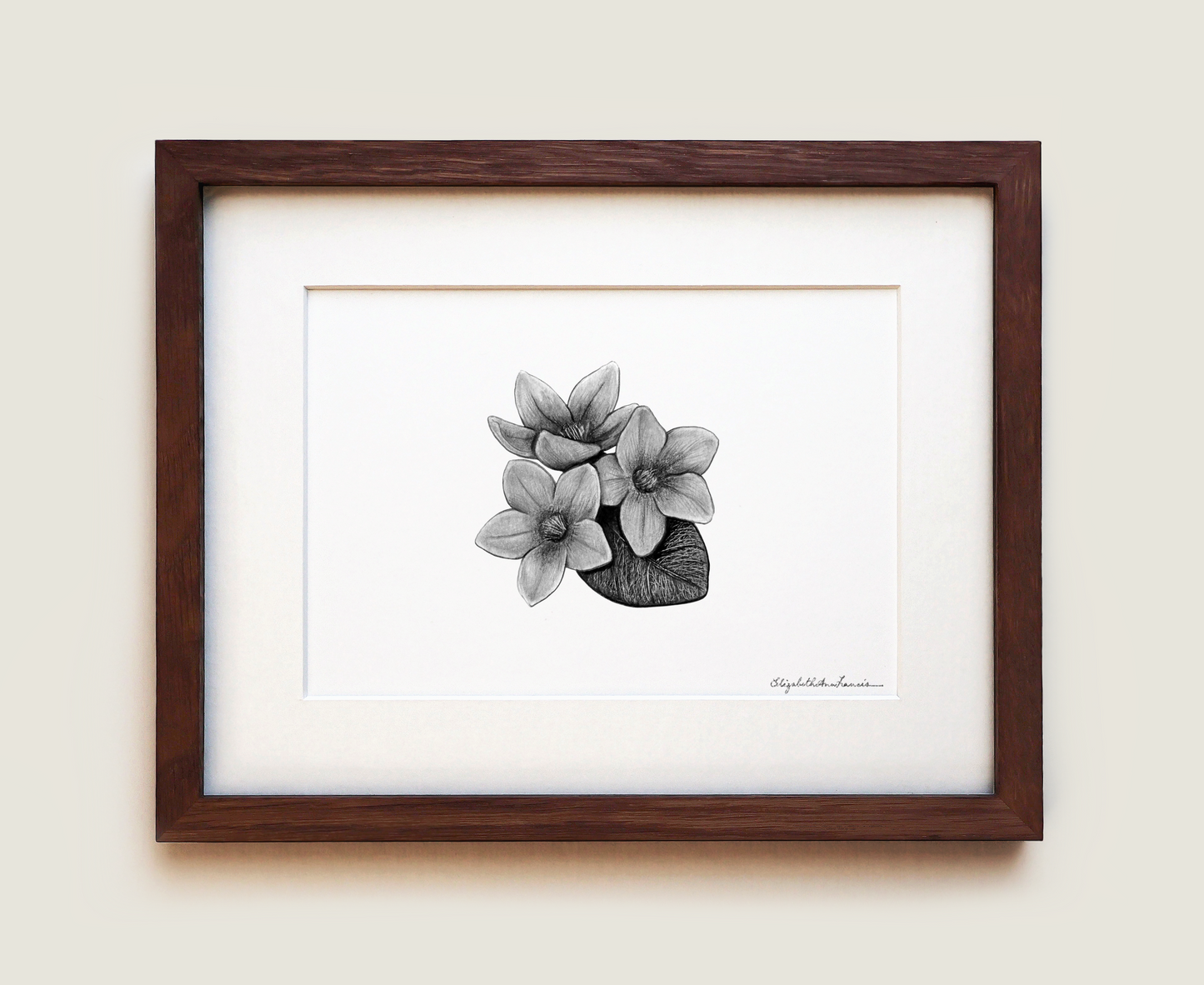 Mayflower | Fine Art Print