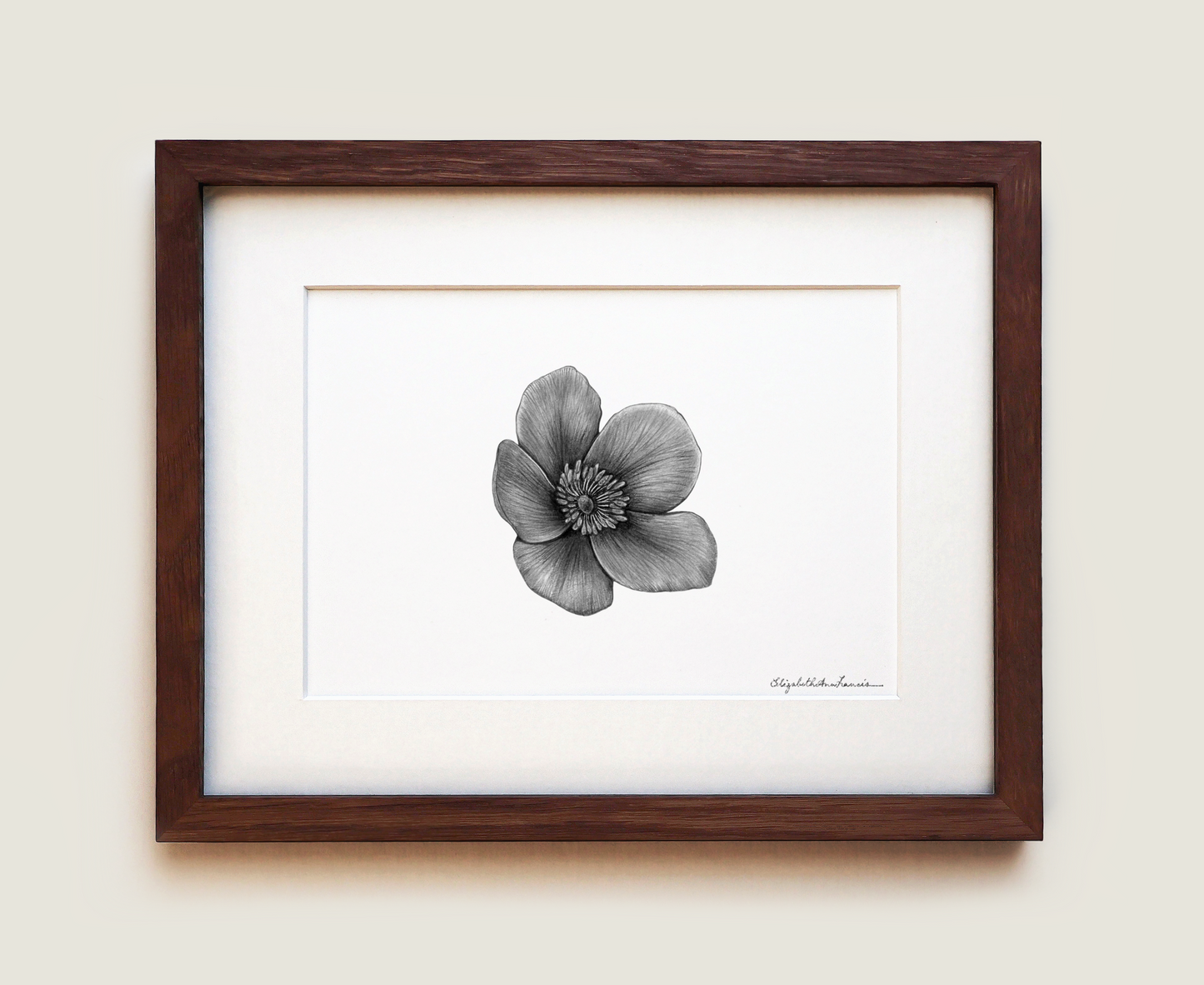 Wild Rose | Fine Art Print
