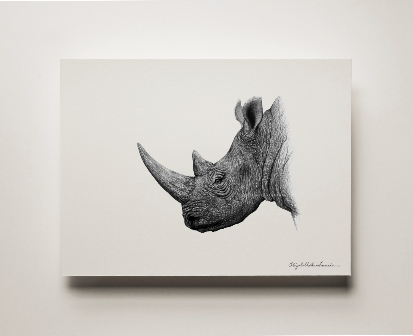 White Rhino | Framed Art Print