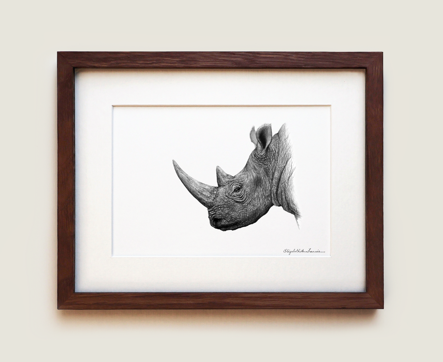 White Rhino | Framed Art Print