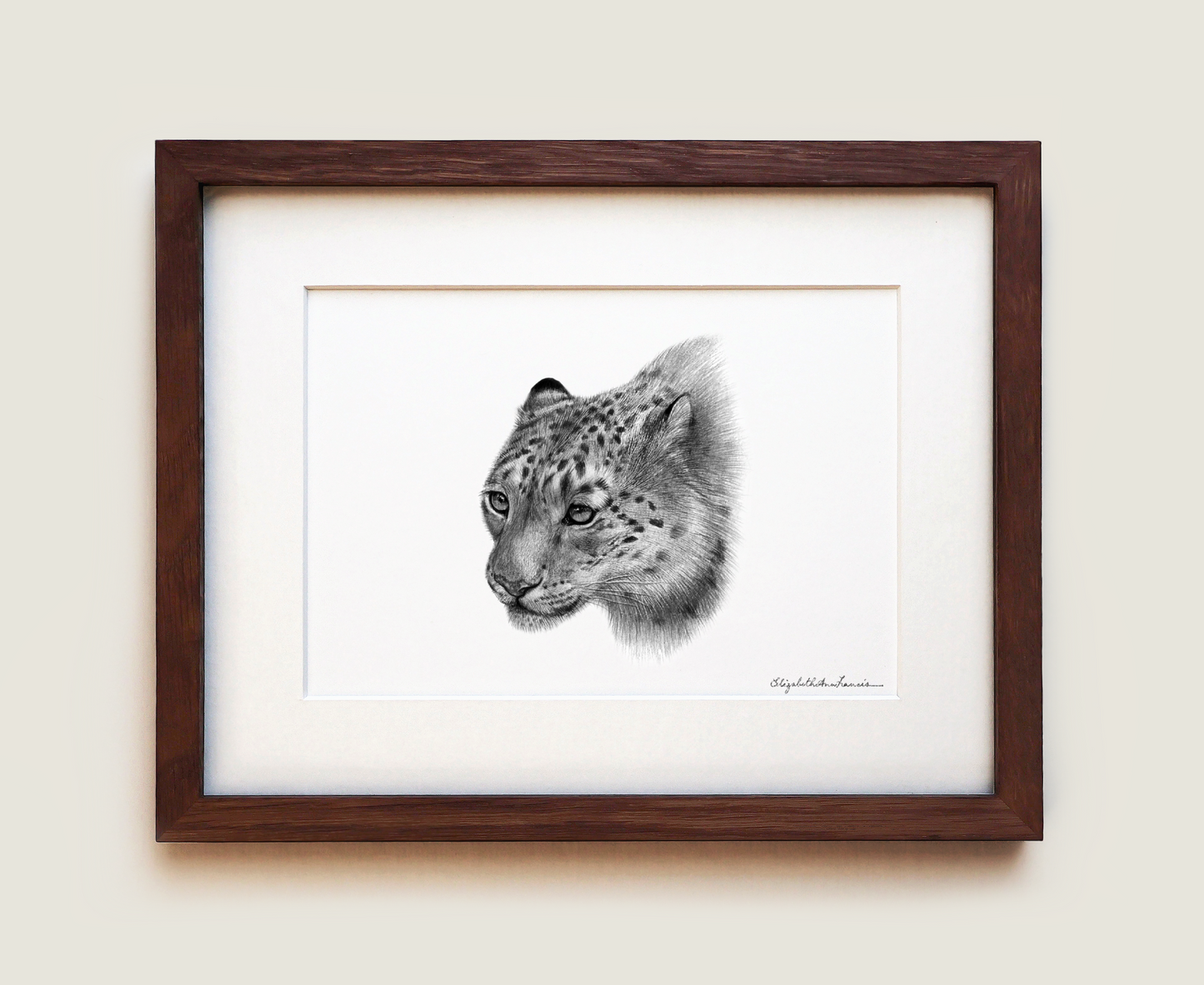 Snow Leopard | Fine Art Print