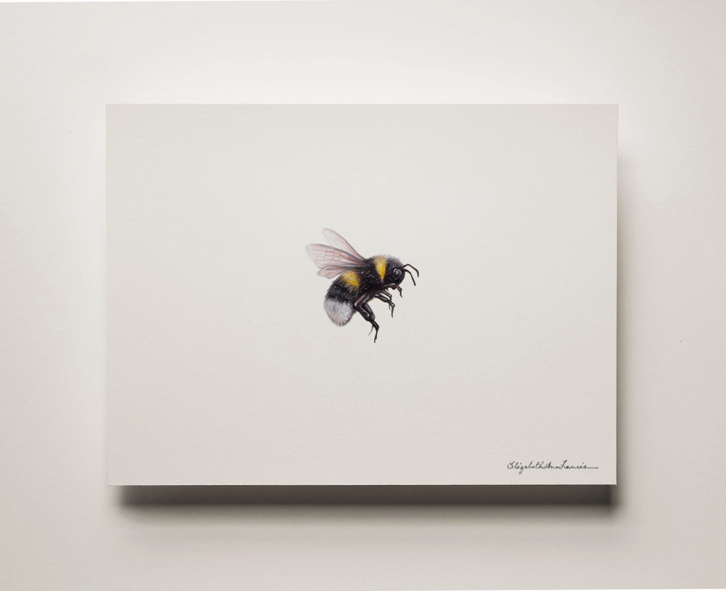 Bumblebee II | Fine Art Print