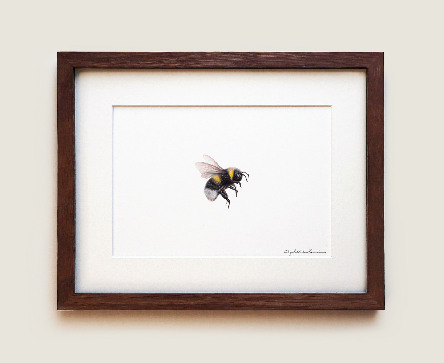 Bumblebee II | Fine Art Print