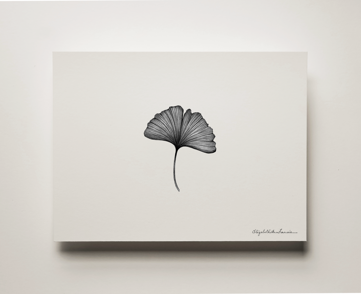 Ginkgo Leaf | Fine Art Print