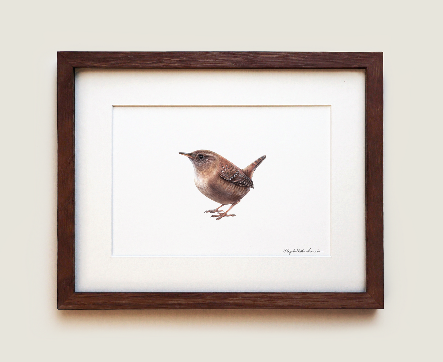 House Wren | Fine Art Print