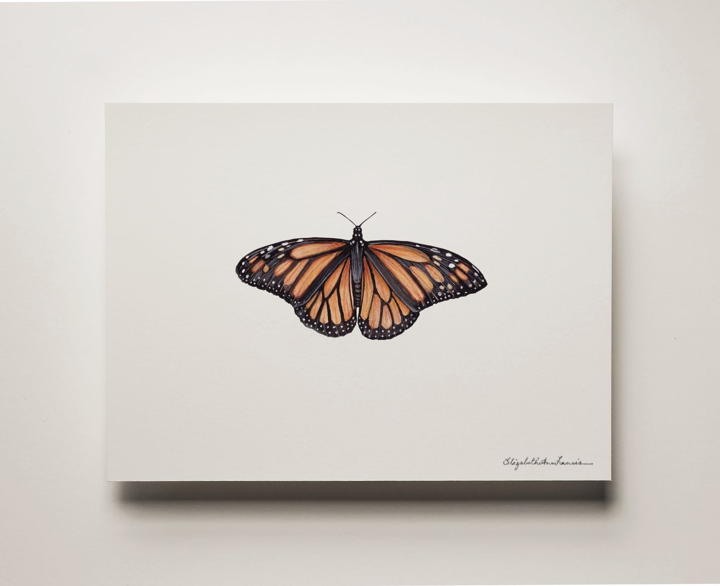 Monarch Butterfly | Fine Art Print