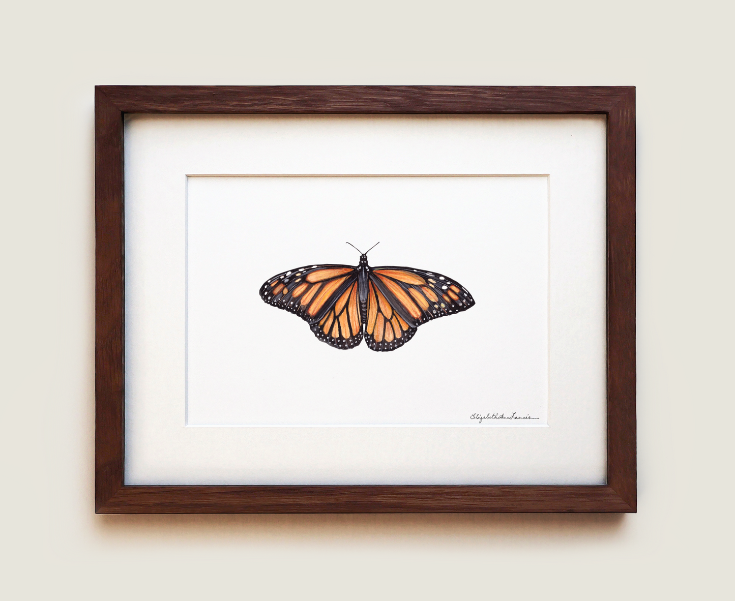Monarch Butterfly | Fine Art Print