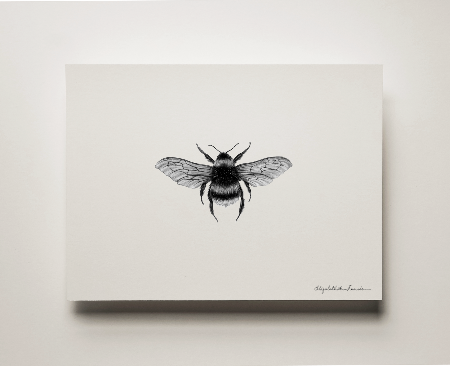 Bumblebee | Fine Art Print