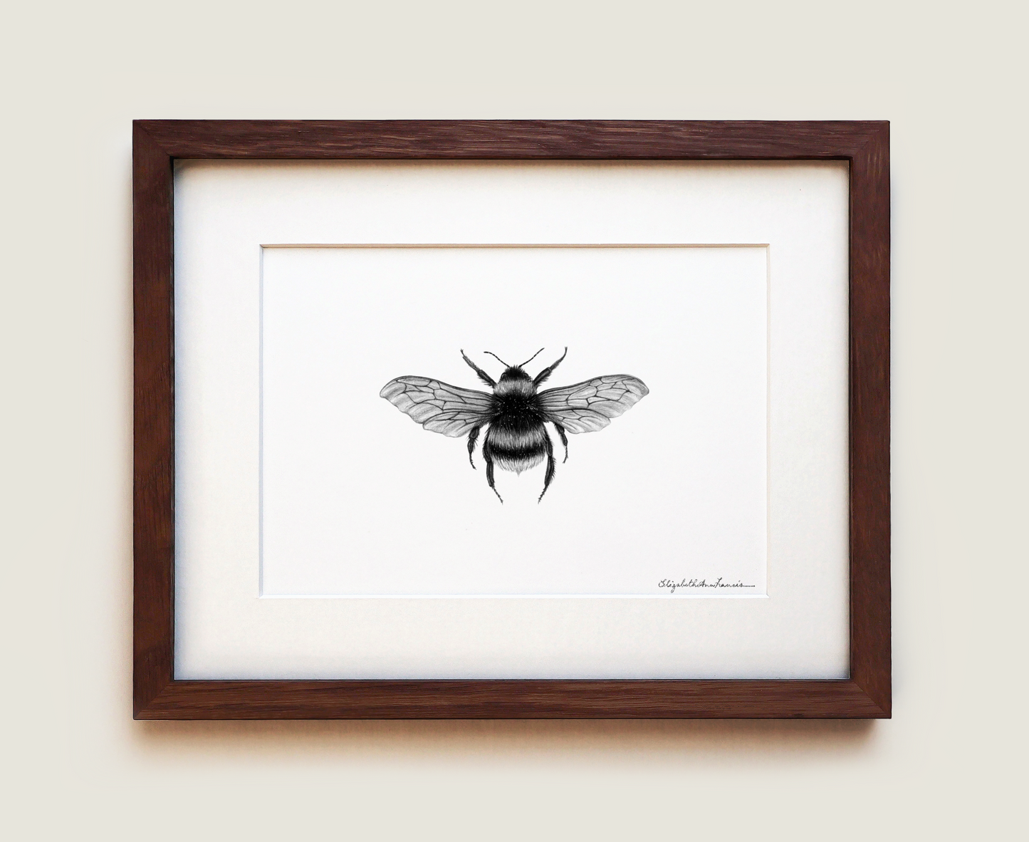 Bumblebee | Fine Art Print