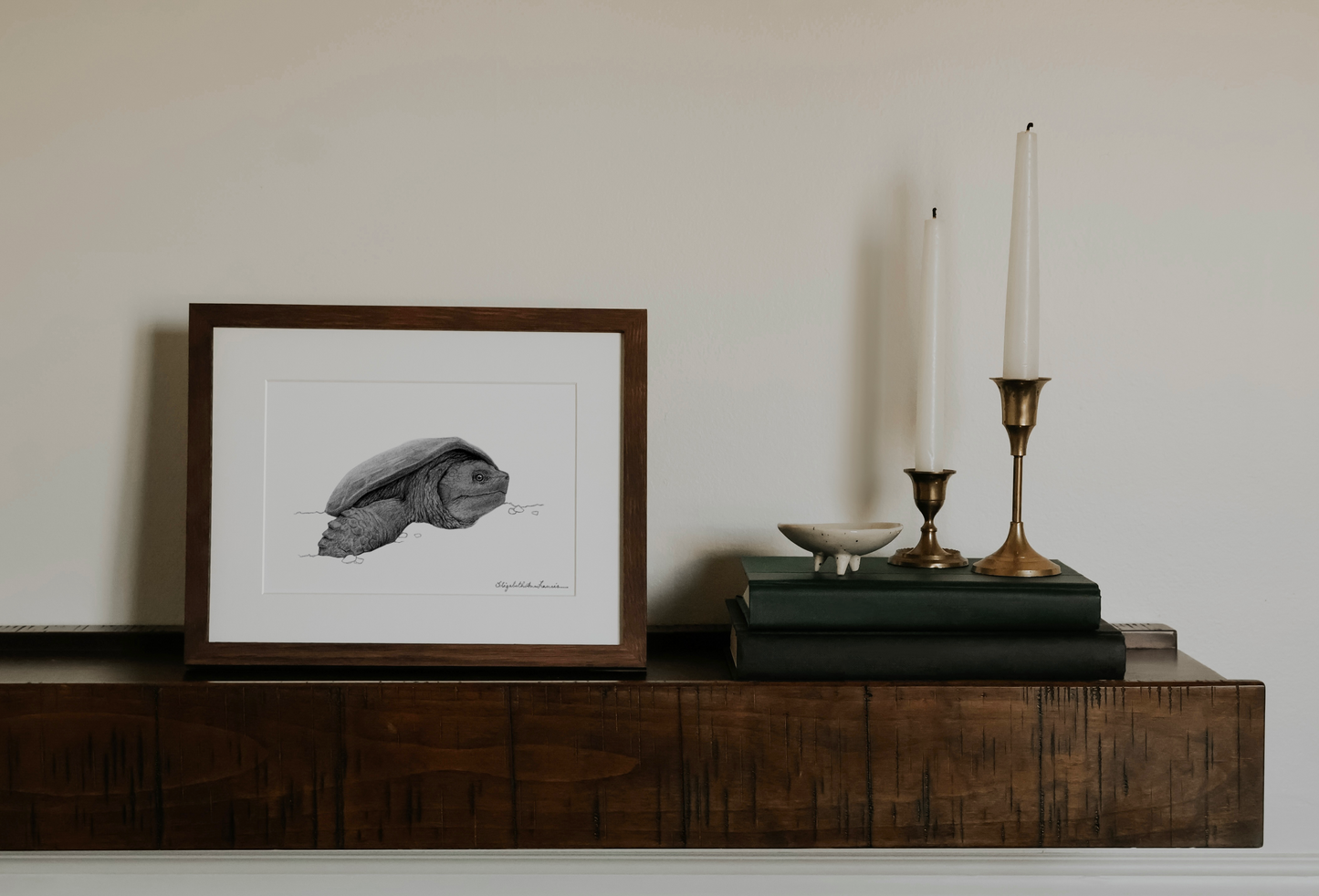 Snapping Turtle | Fine Art Print