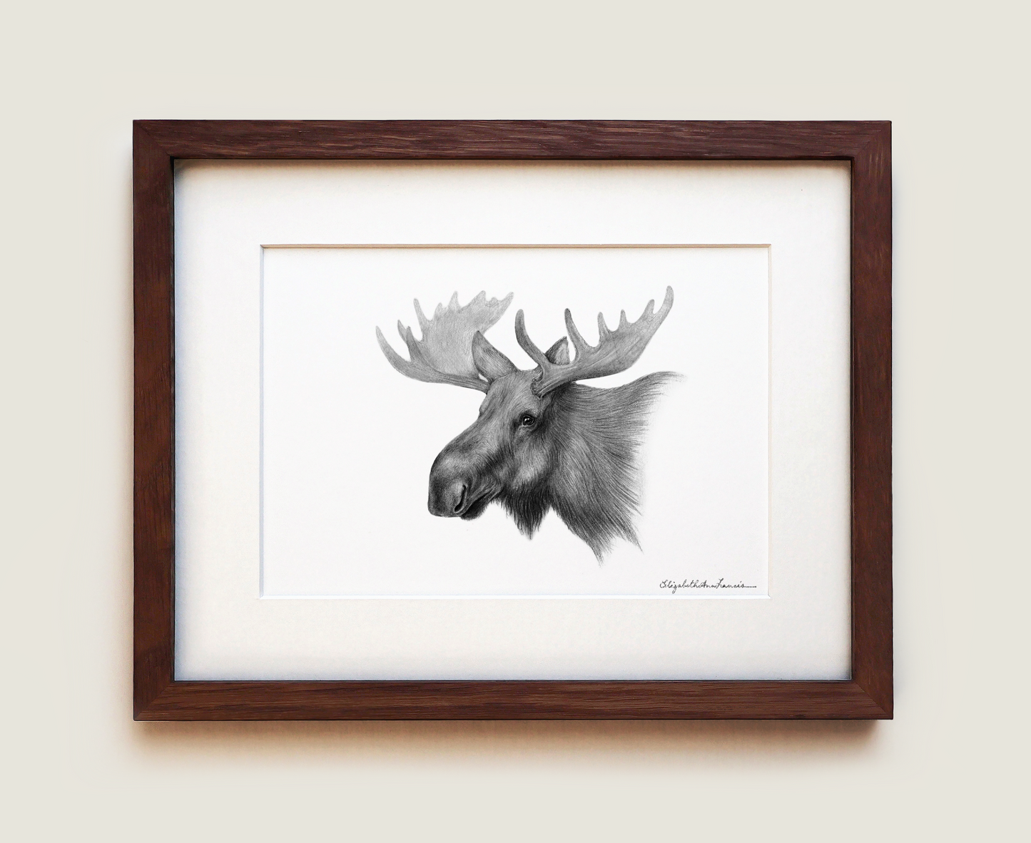 Moose | Fine Art Print