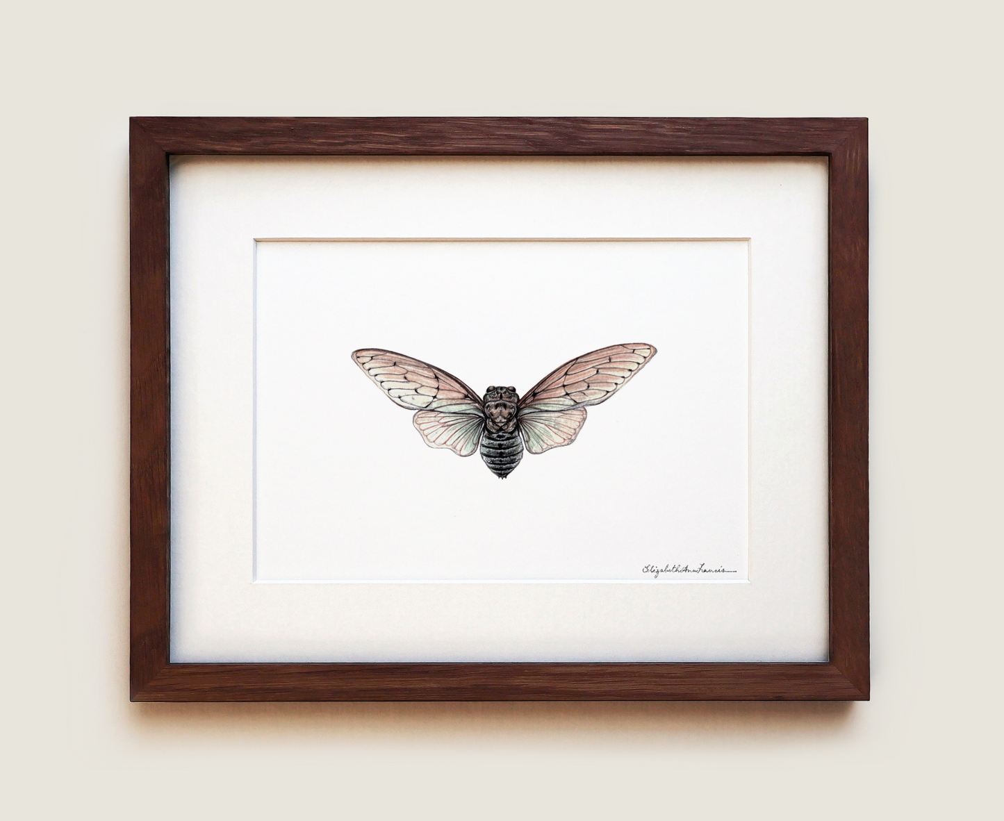 Ghost Cicada | Fine Art Print