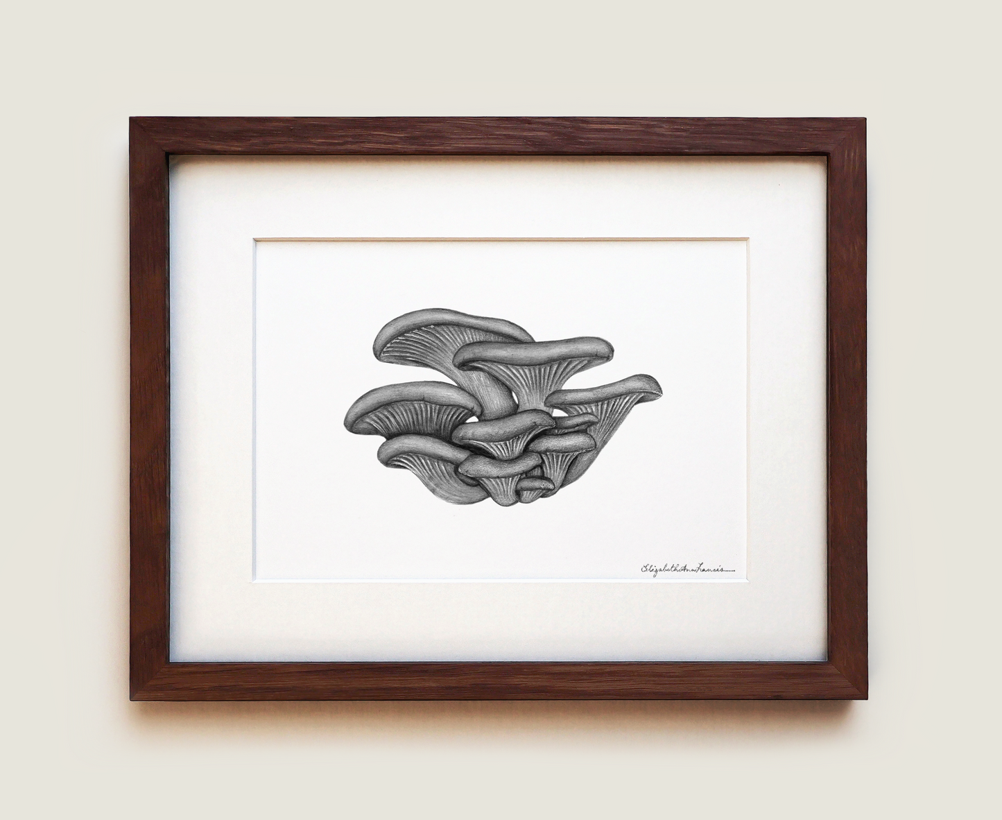 Pearl Oyster Mushrooms | Fine Art Print