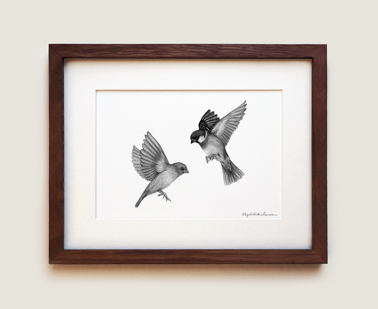 House Sparrows | Fine Art Print