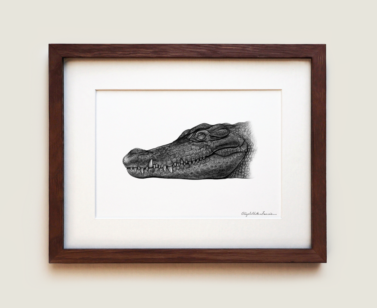 Nile crocodile | Fine Art Print