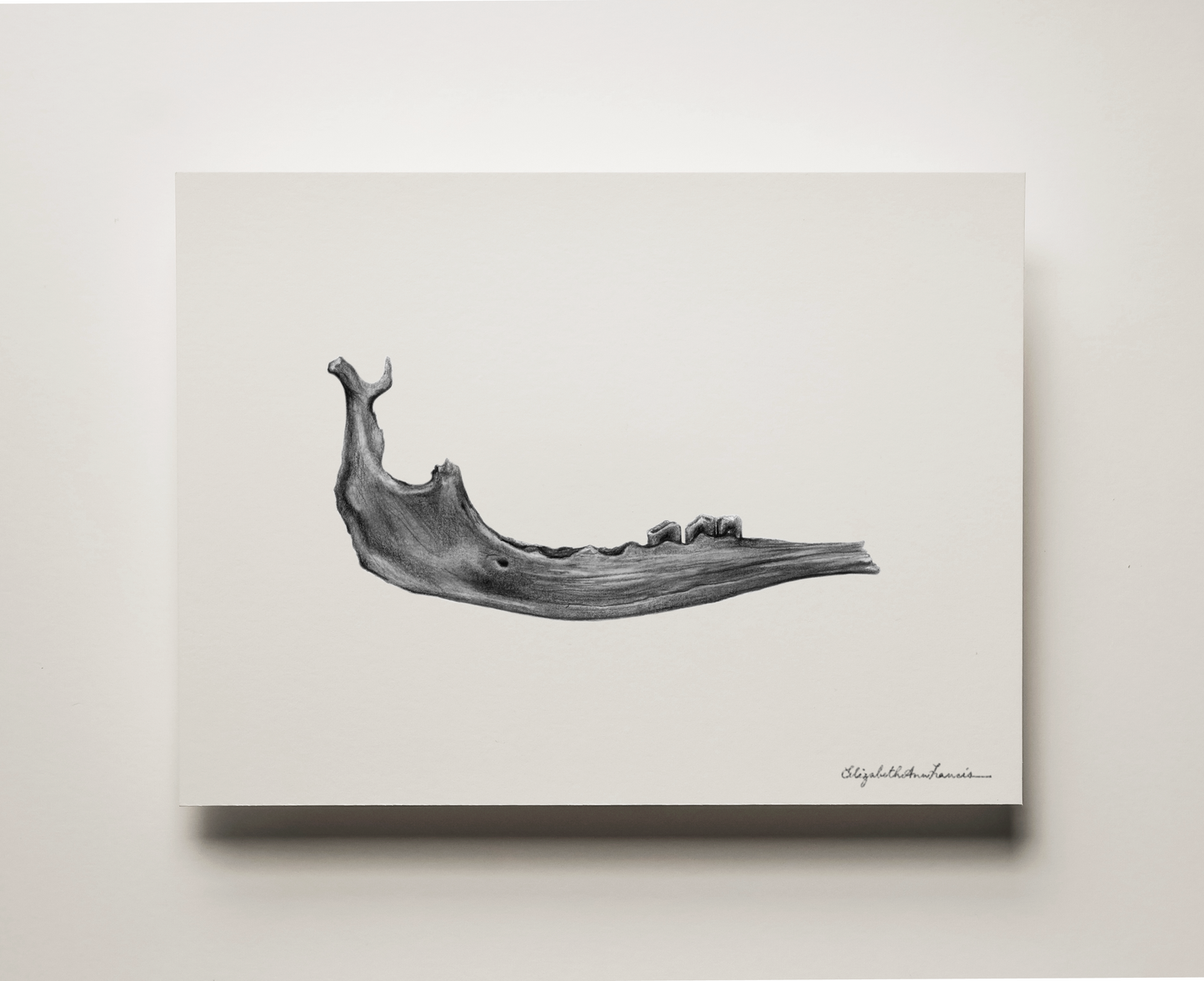 Moose Jaw | Fine Art Print