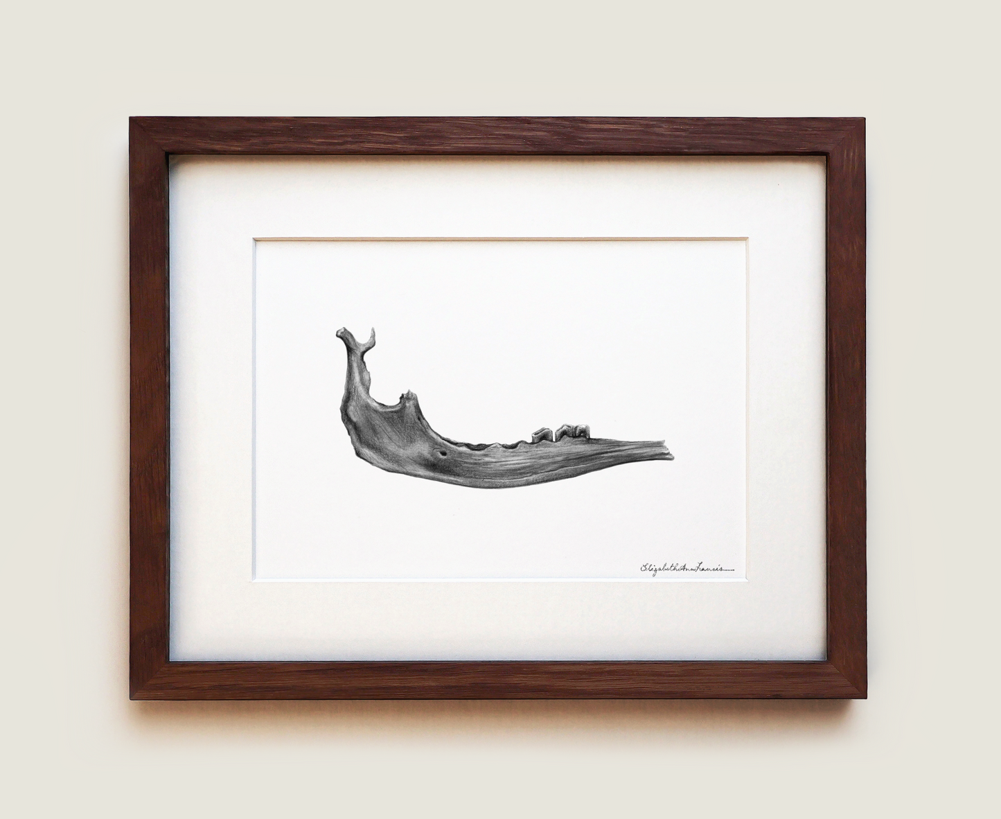 Moose Jaw | Fine Art Print