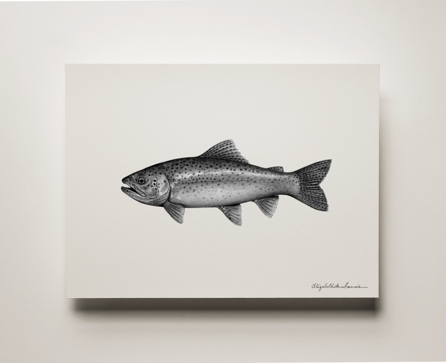 Rainbow Trout | Fine Art Print