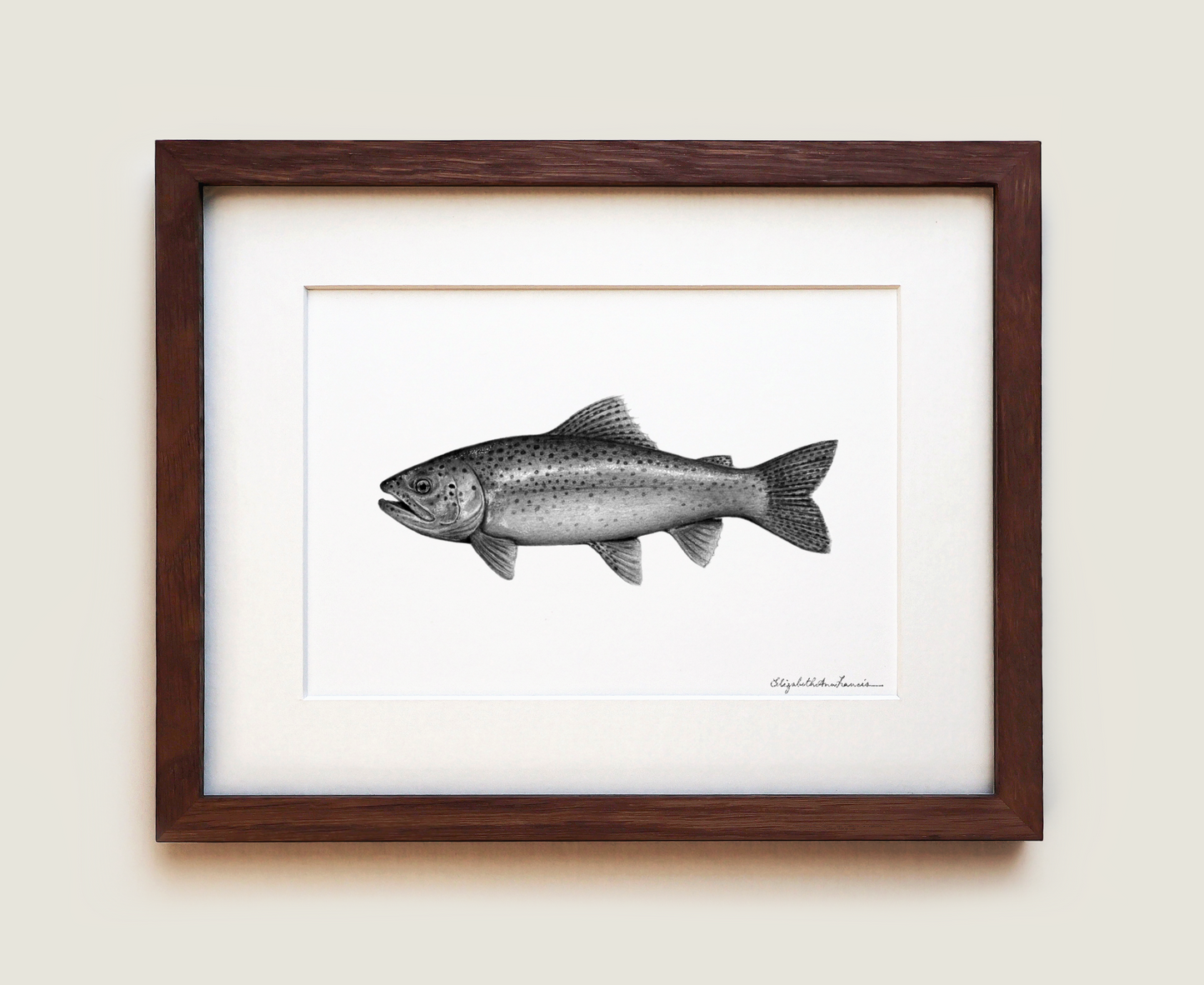 Rainbow Trout | Fine Art Print