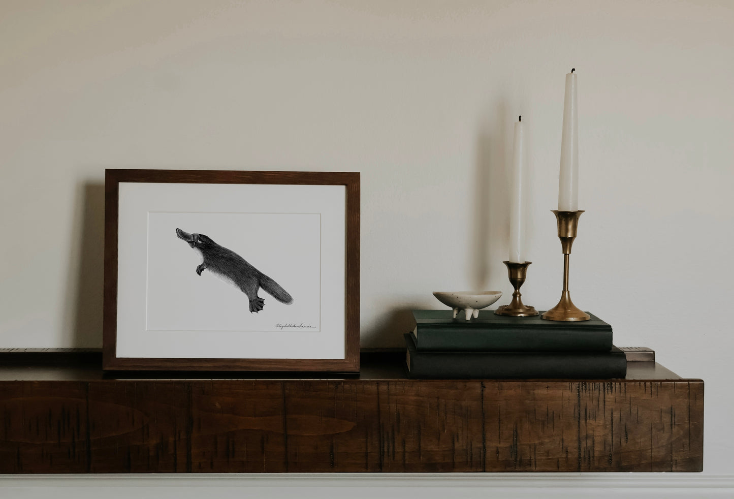Platypus | Fine Art Print