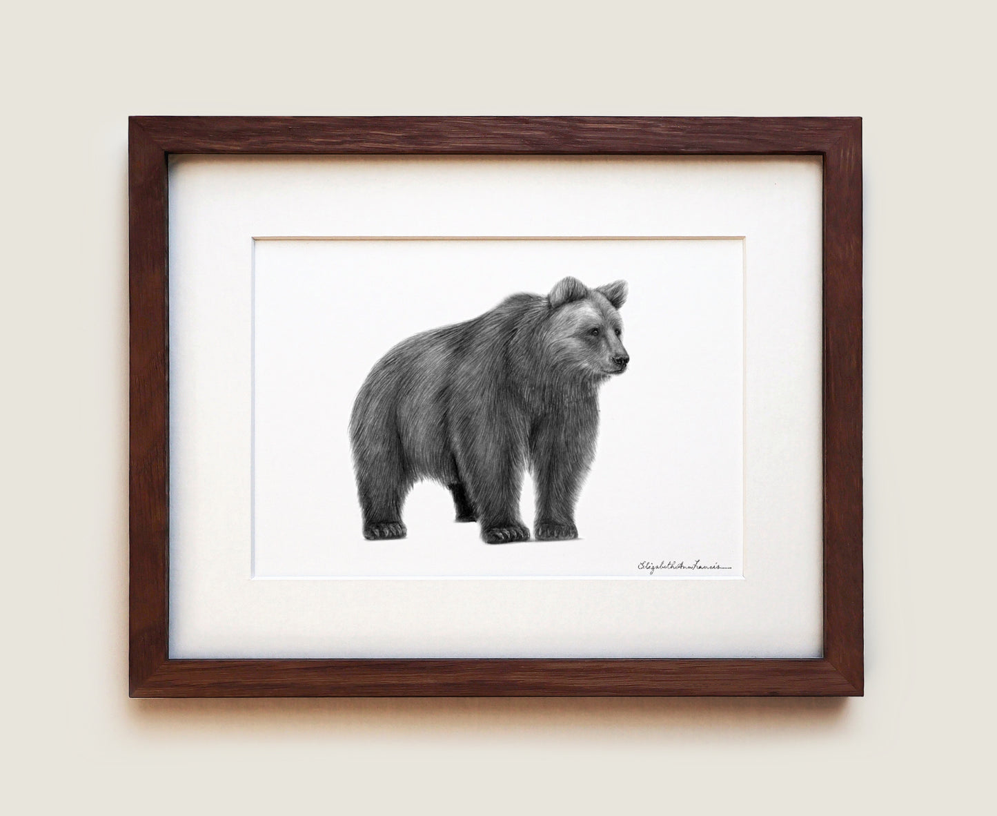 Grizzly Bear | Limited Edition Print