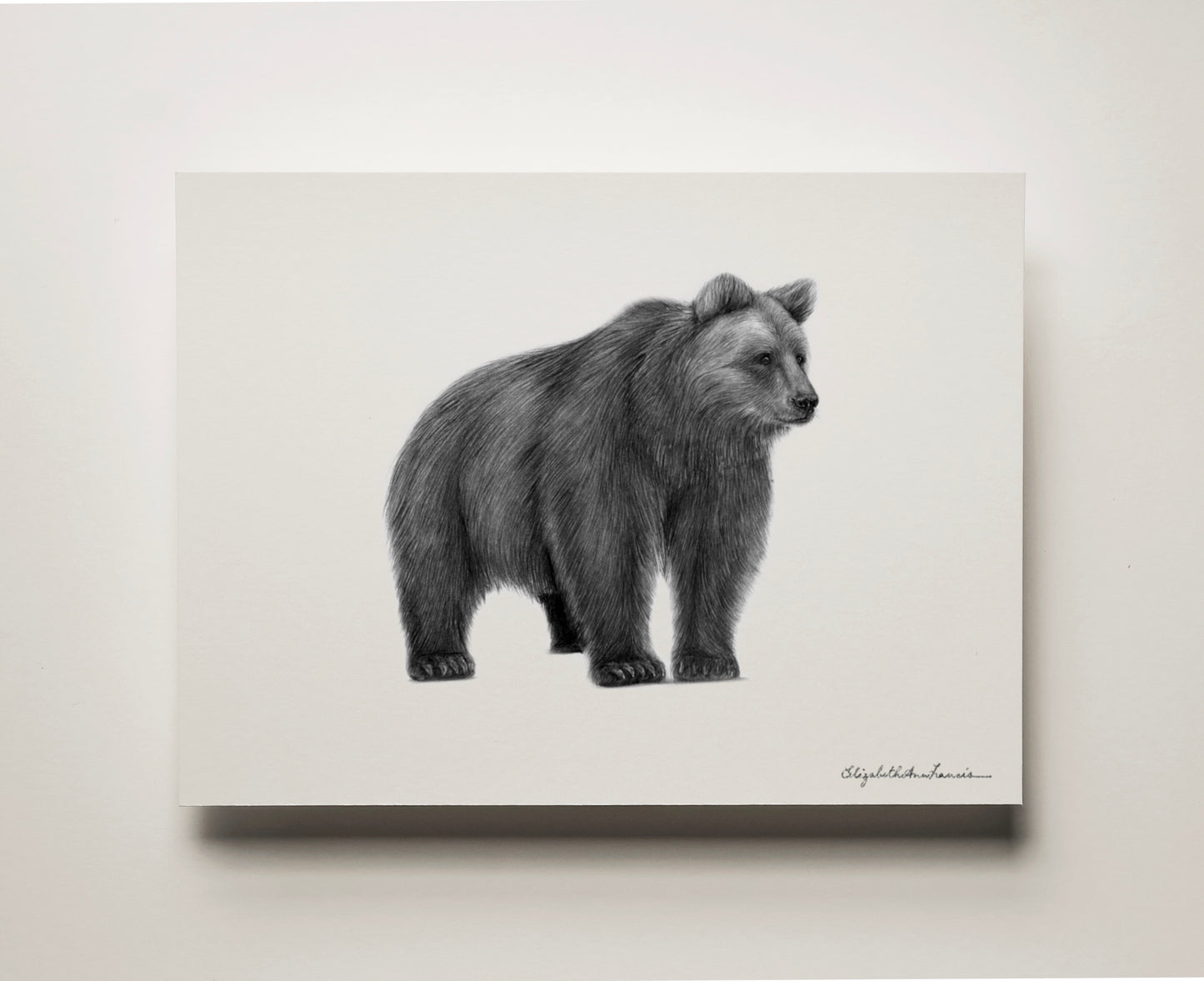 Grizzly Bear | Limited Edition Print