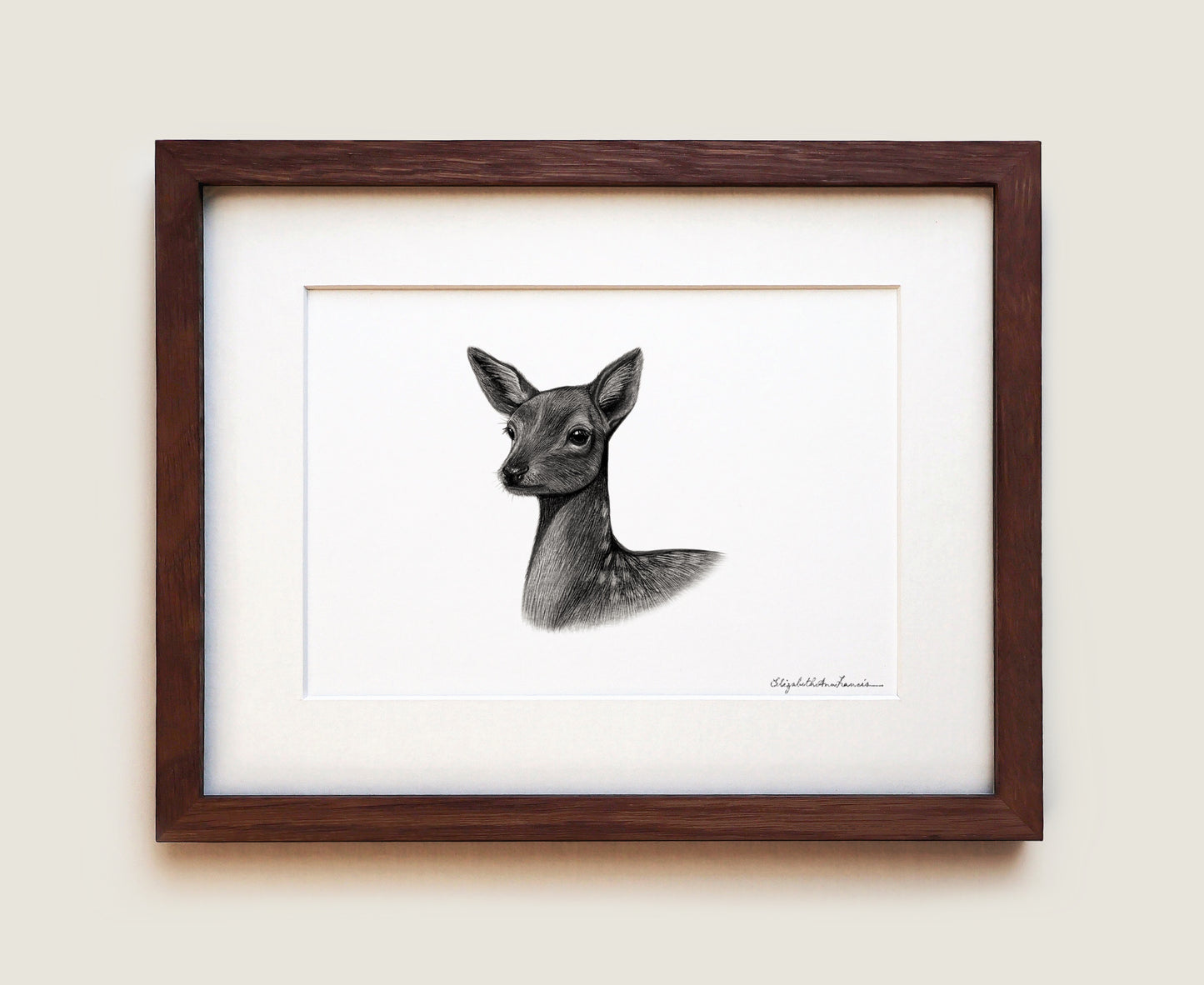 White-tailed Deer Fawn | Fine Art Print