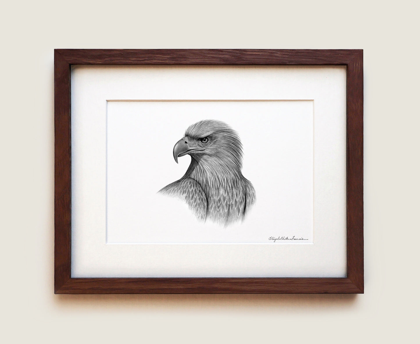 White-tailed Eagle | Fine Art Print