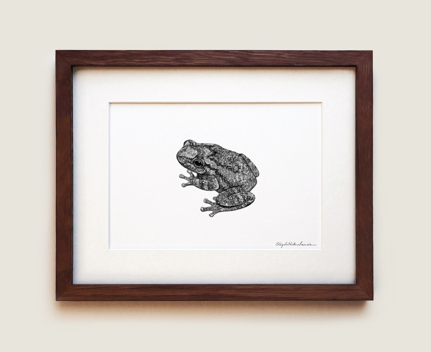 Gray Treefrog | Fine Art Print
