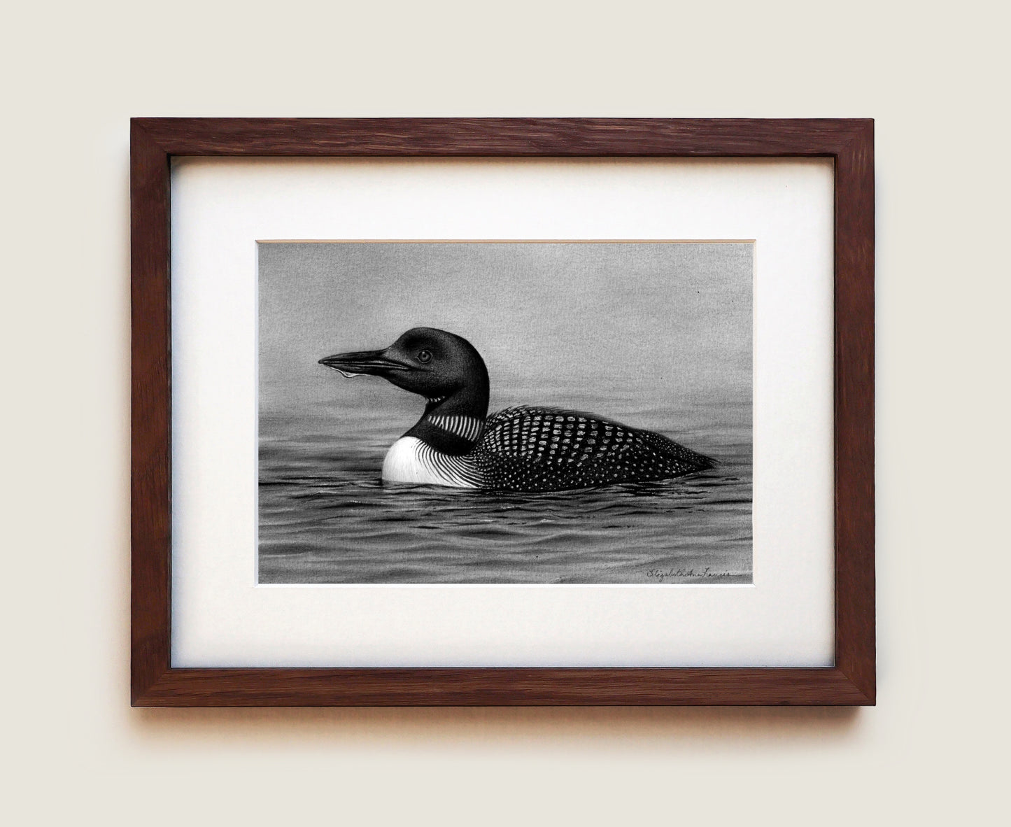 Common Loon | Fine Art Print