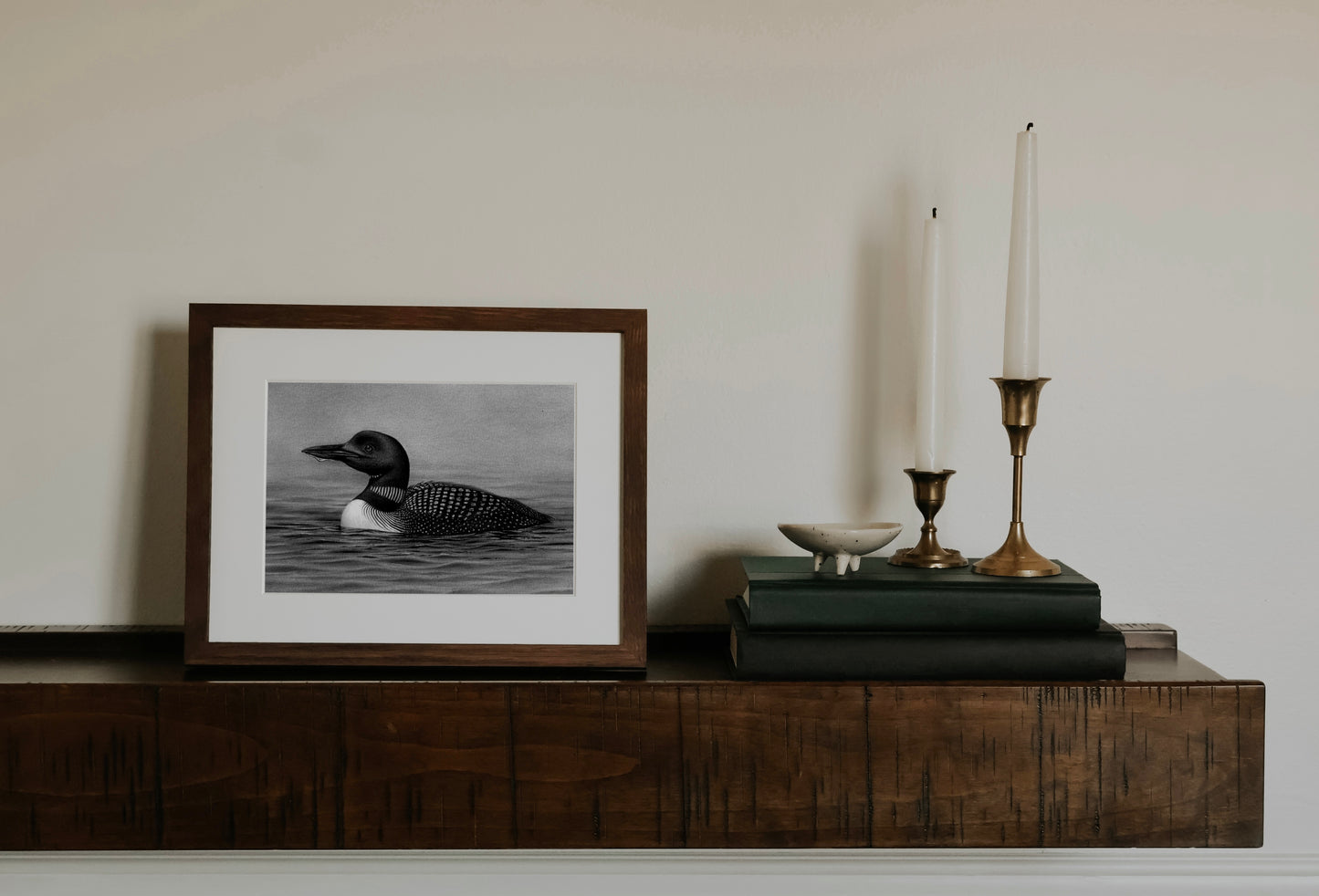 Common Loon | Fine Art Print