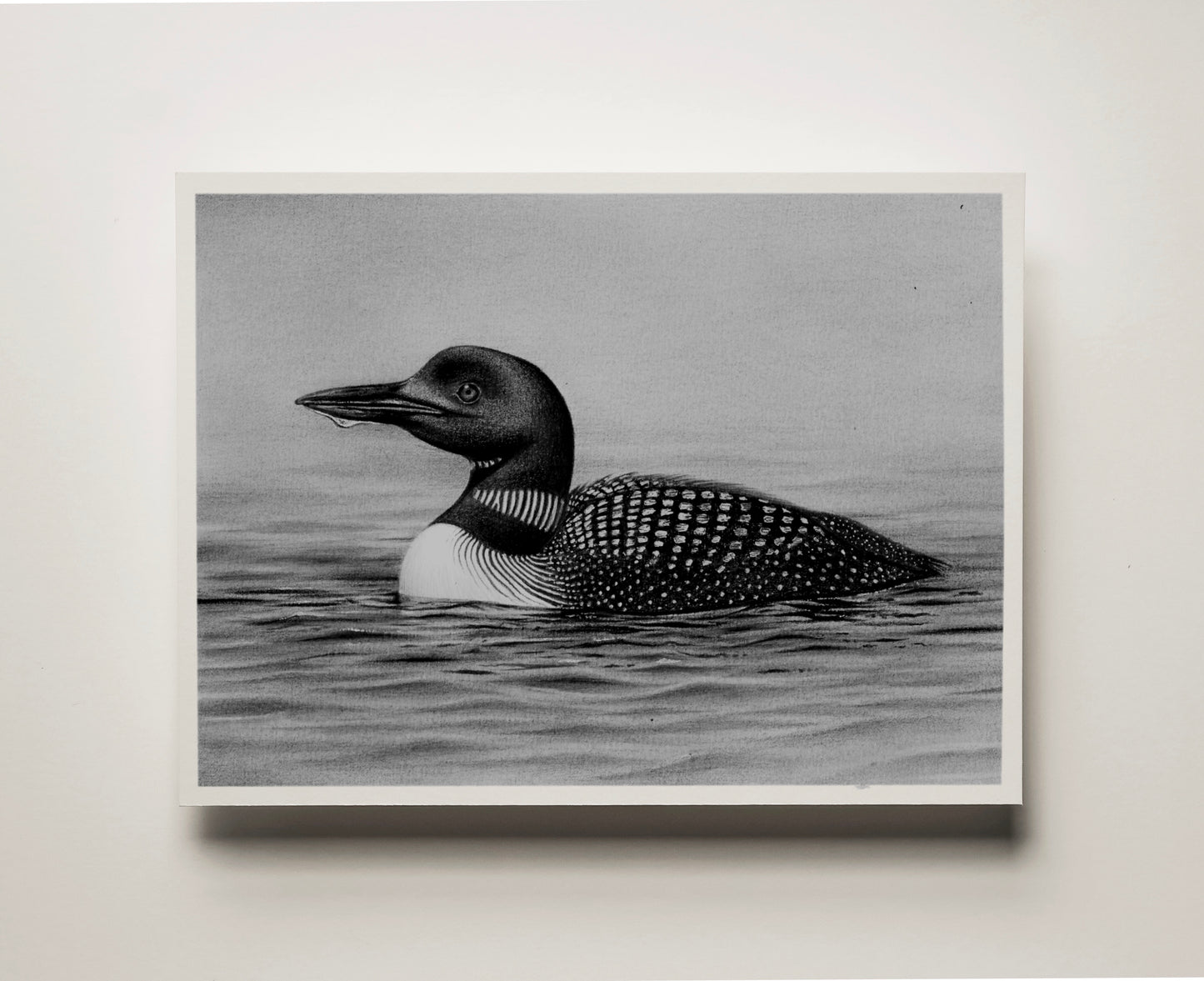 Common Loon | Fine Art Print