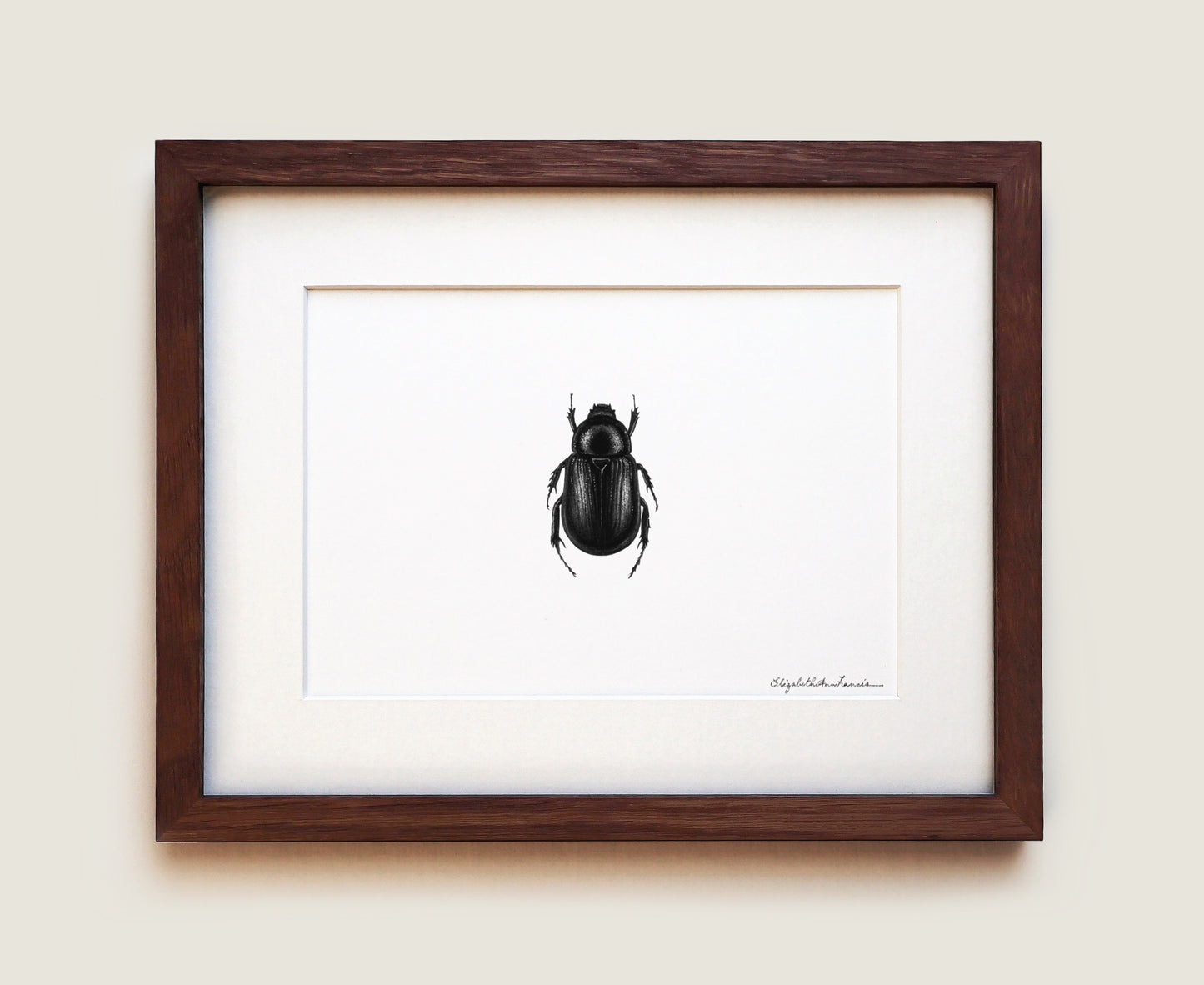 Beetle | Fine Art Print
