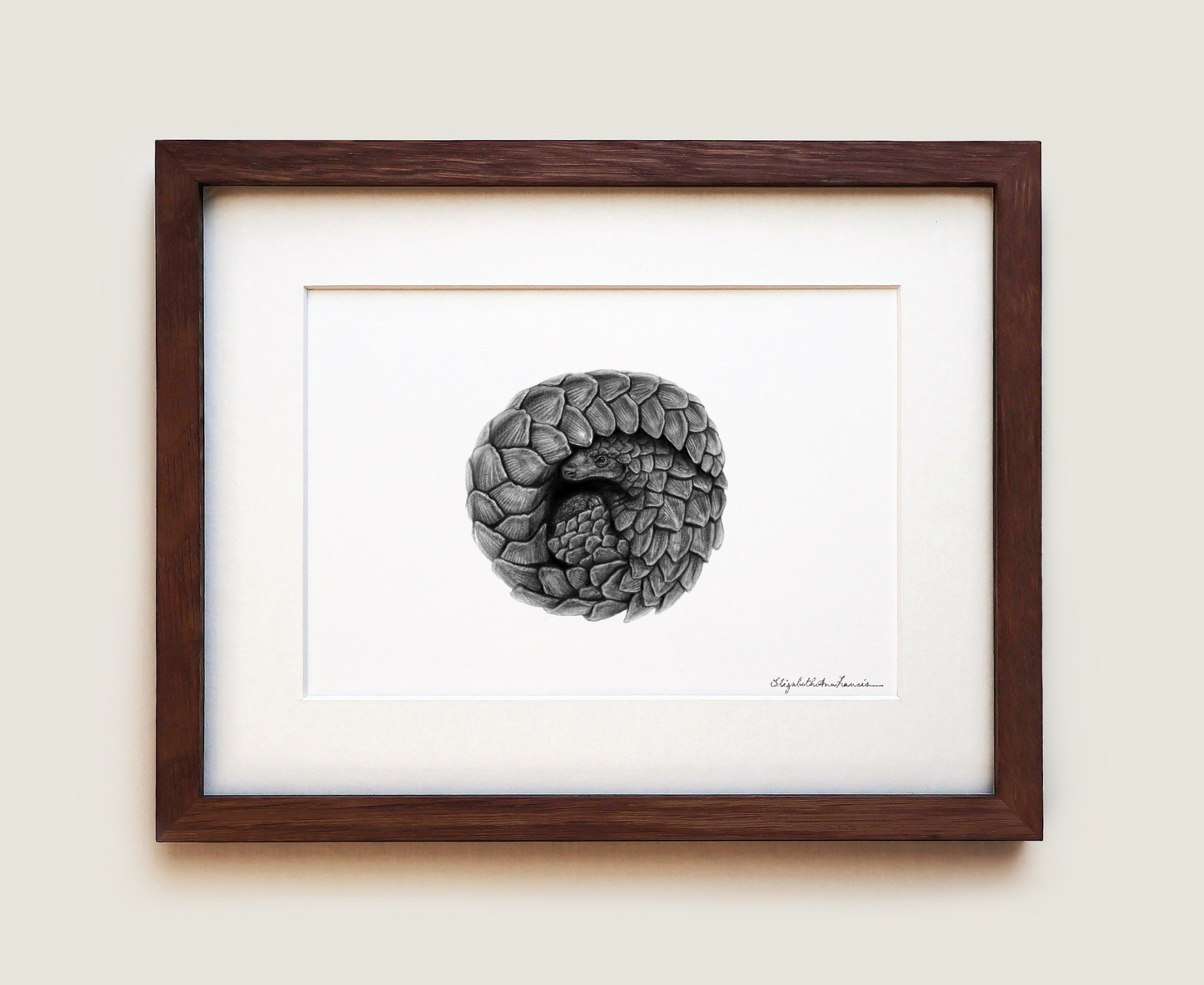 Pangolin | Fine Art Print