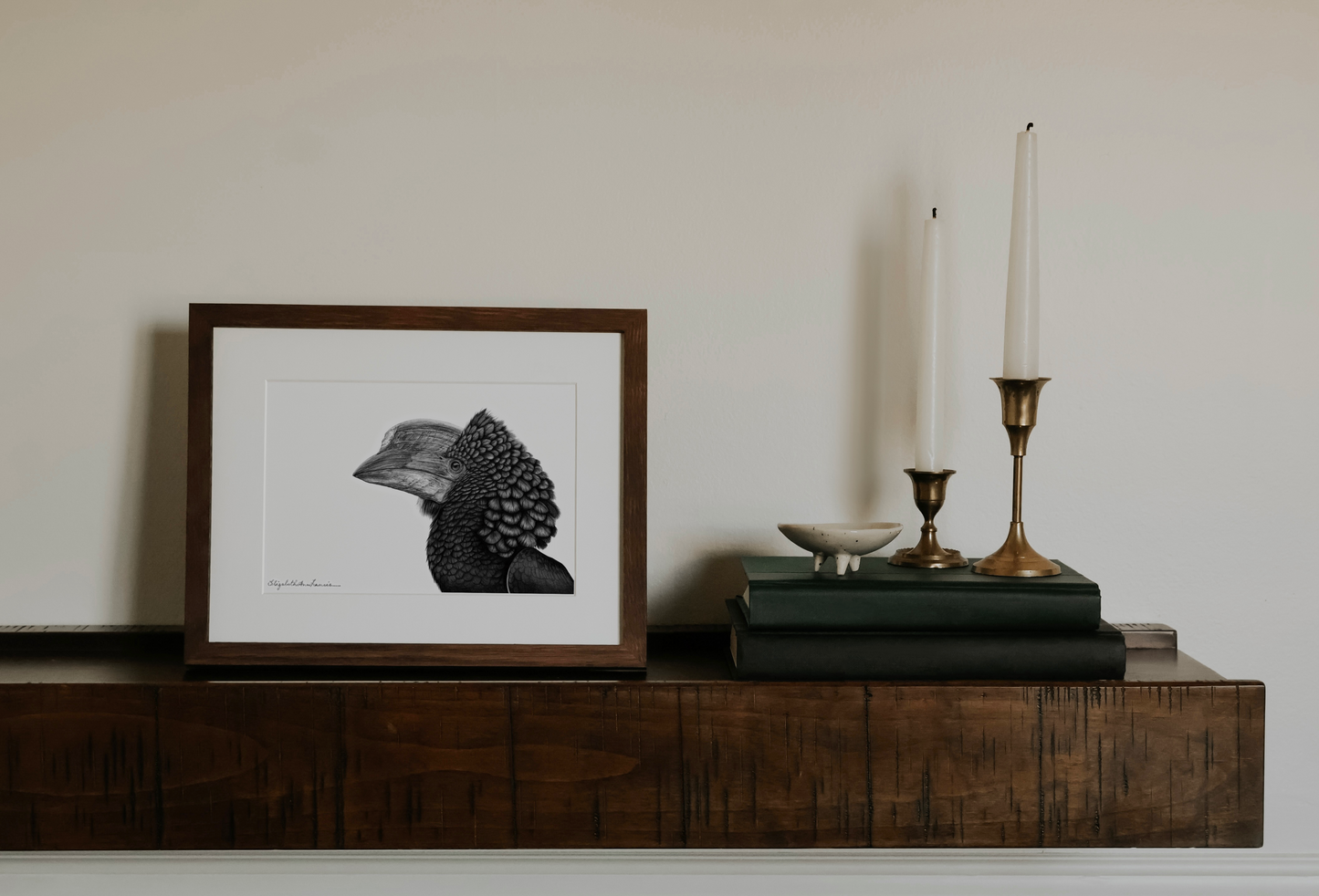 Silvery-Cheeked Hornbill | Fine Art Print
