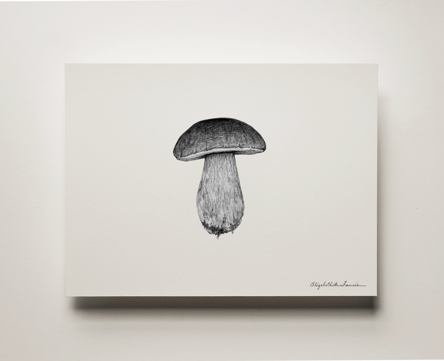 Pine Bolete Mushroom | Fine Art Print