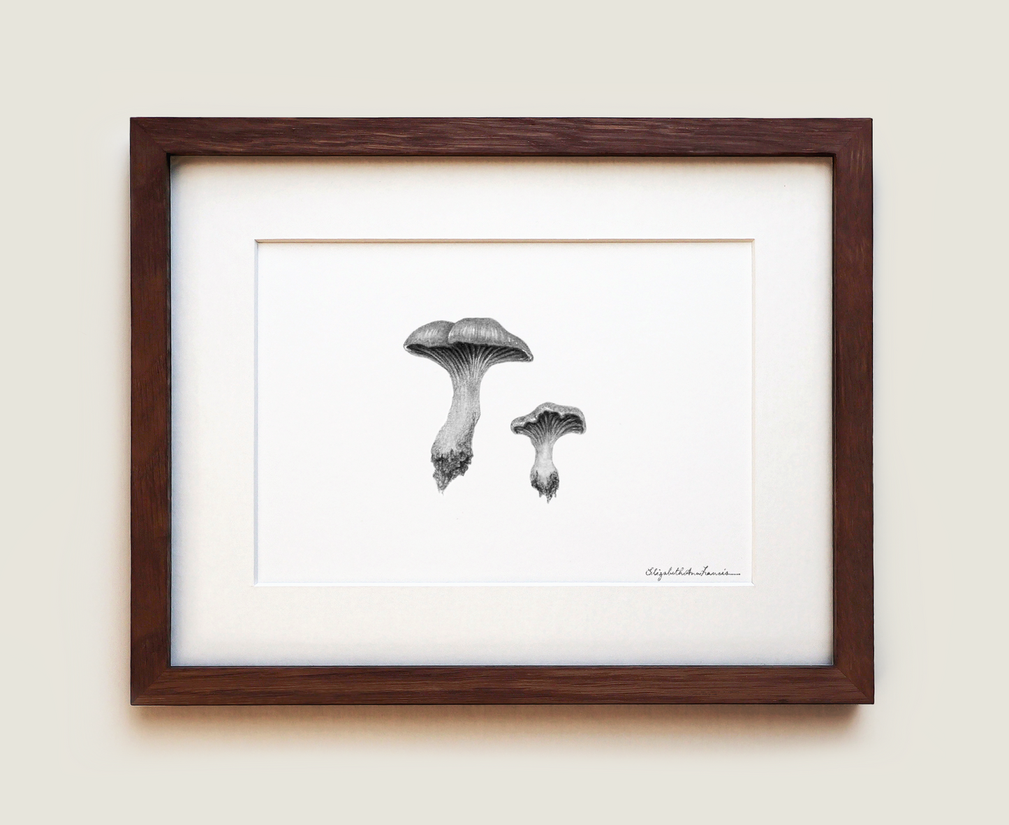 Chanterelle Mushrooms | Fine Art Print