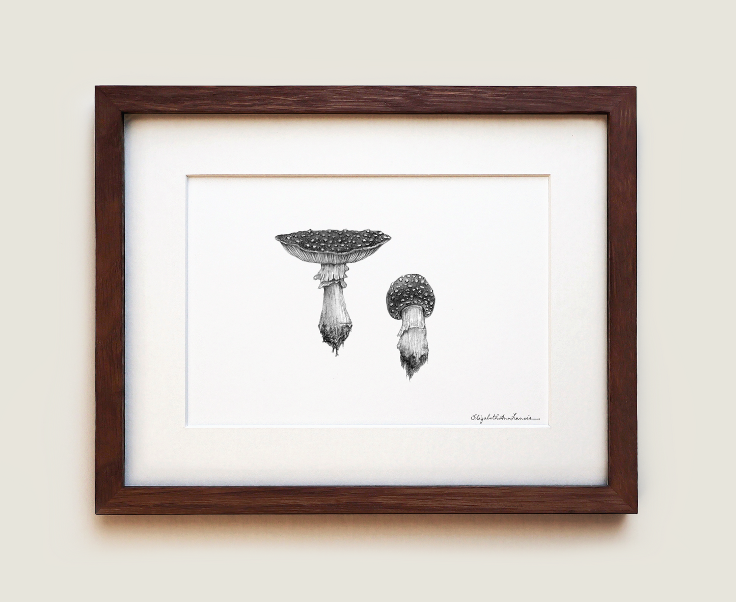 Fly Agaric Mushroom | Fine Art Print